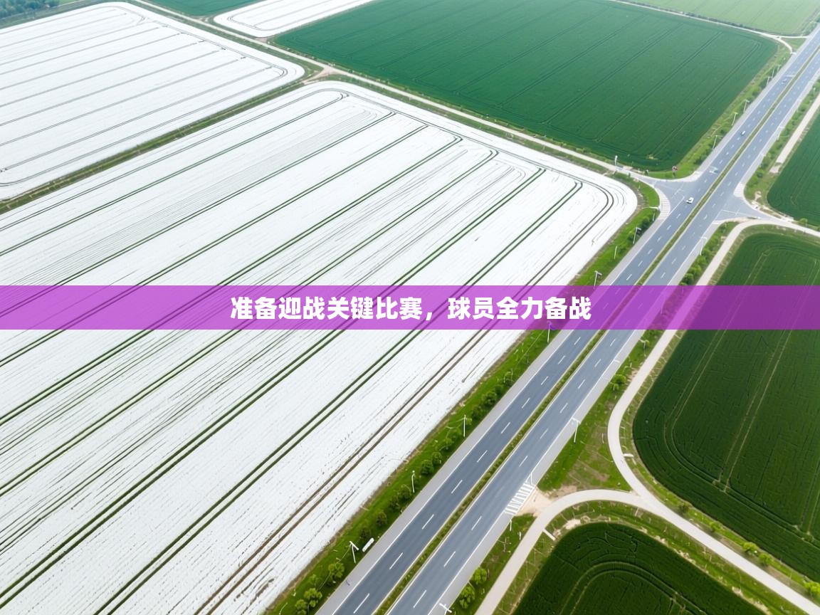 准备迎战关键比赛，球员全力备战  第1张