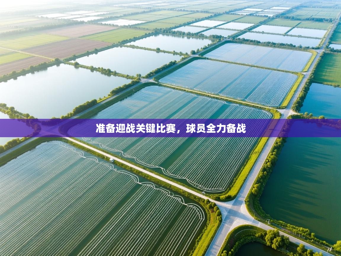 准备迎战关键比赛，球员全力备战  第2张