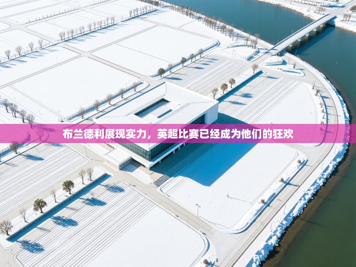 布兰德利展现实力，英超比赛已经成为他们的狂欢  第1张