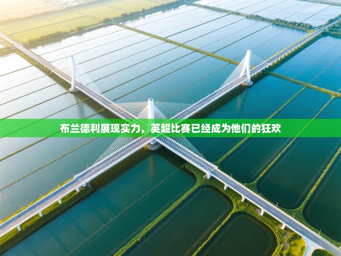 布兰德利展现实力，英超比赛已经成为他们的狂欢  第2张