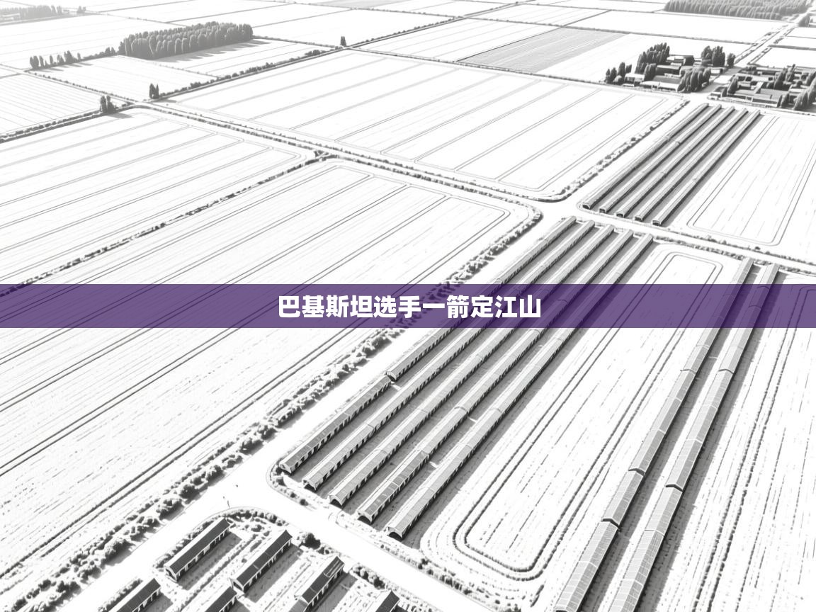 巴基斯坦选手一箭定江山  第1张