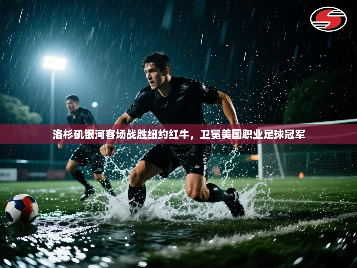 洛杉矶银河客场战胜纽约红牛，卫冕美国职业足球冠军  第1张