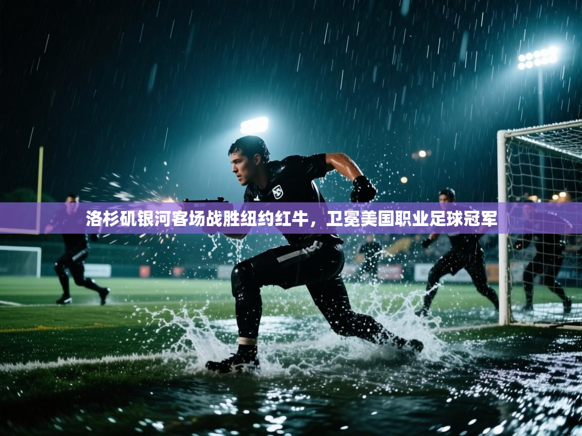 洛杉矶银河客场战胜纽约红牛，卫冕美国职业足球冠军  第2张