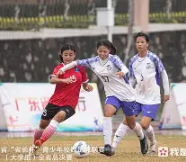 星空体育在线登陆-波兰女足勇夺桂冠，喜悦登上巅峰